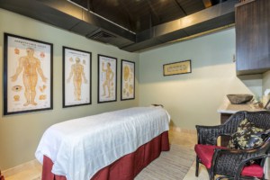 808 Wellness Akamai Acupuncture Treatment Room