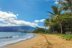 Yoga 808 Wellness Kihei Maui